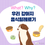 [해피팡팡] 강아지 음식 알레르기에 대해 아시나요?