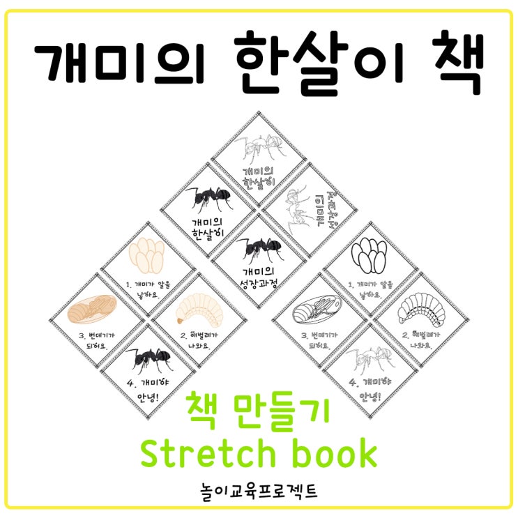 개미의 성장과정 - 개미의 한살이/책 만들기/stretch book/활동지/워크지 : 네이버 블로그 개미의 성장과정 - 개미의 한살이/책 만들기/Stretch Book/활동지/워크지 : 네이버 블로그