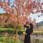 대구 겹벚꽃 명소 사진 찍기 좋은 월곡역사공원