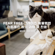 그레이스 동물병원의 고양이 , 강아지를 위한 모든 검사 및 진료는 FEAR FREE(최소 스트레스) 를 추구합니다.