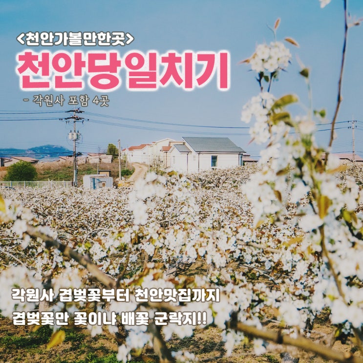 천안가볼만한곳 각원사 포함 4곳, 천안 당일치기코스 : 네이버 블로그