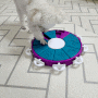 강아지 노즈워크 장난감 추천 : 니나오토슨 3단계 도그 트위스터 사용 후기