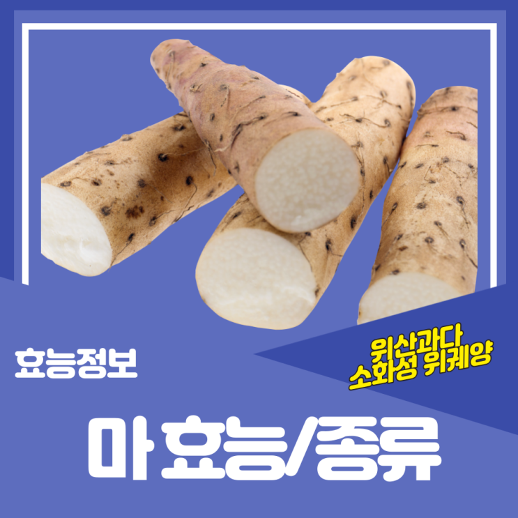 마효능 및 종류, 하늘마, 산마, 참마 : 네이버 블로그