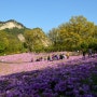 불암산 철쭉동산(나비정원),봄햇살과 피톤치드 가득한 오후산책