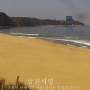 강릉 헌화로 실시간 영상 보기(파도, 날씨 등 확인)