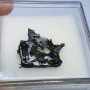 1881년 미국 캔자스 Admire 석철운석 팰러사이트, 지구상 2%의 운석