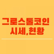 그로스톨 코인 전망 및 호재,시세 파악하기