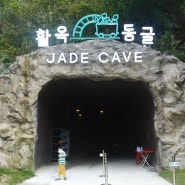 충주 활옥동굴 여행, 코코 6살 생일기념