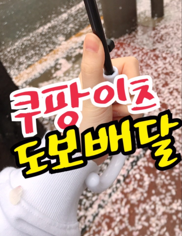 쿠팡이츠 배달 파트너 도보배달 후기★(장단점, 꿀팁, ㅂㅁ과 비교) : 네이버 블로그