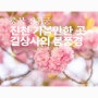 진천 가볼만한곳 진천 길상사의 봄풍경(feat. 러블리핑크 겹벚꽃)