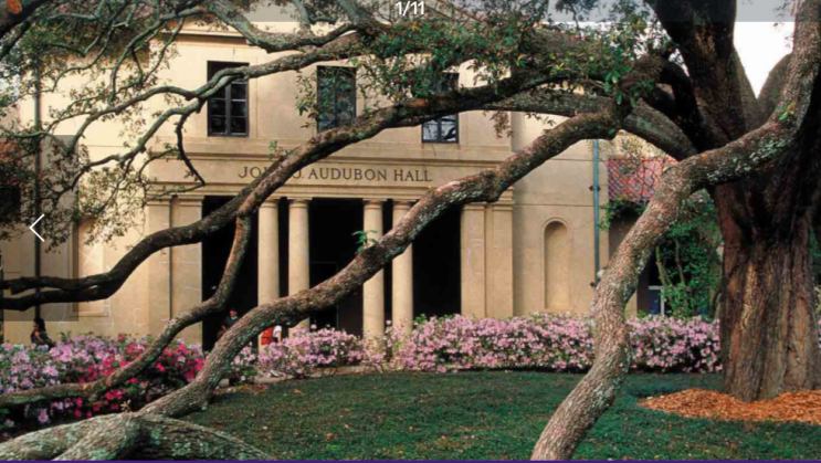 [미국 대학] Louisiana State University(LSU) : 네이버 블로그