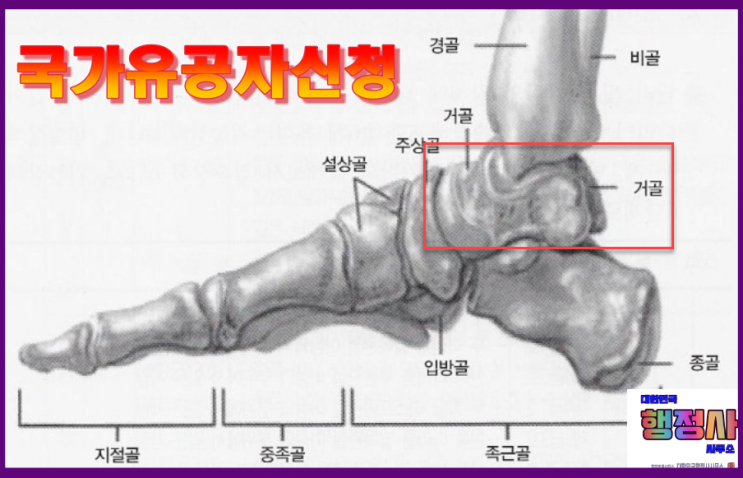 전방십자인대파열, 거골파열 국가유공자신청 - 부산행정사 : 네이버 블로그
