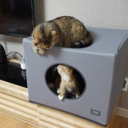 고양이 숨숨집 :: 초코펫하우스 사용후기