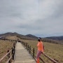 유네스코지정 생물귄 보호지역 2021년 곰배령 봄 점봉산 야생화 천국