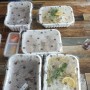 순천 국수나무 배달 베트남쌀국수, 만두 어플주문기