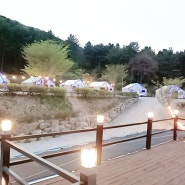호텔+캠핑=가평 달빛정원 글램핑장 신축오픈!!