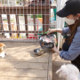 배우 성유리, 유기동물 봉사활동과 사료기부 캠페인 동참