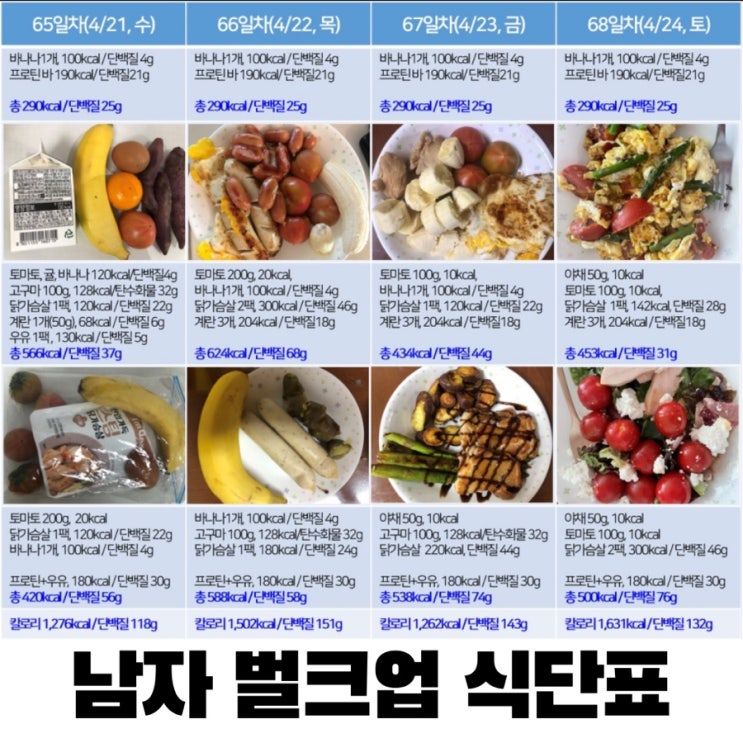 남자 몸 만들기 벌크업 식단표 다이어트 10주차 하루 칼로리 섭취량 1 500~1 600kcal 단백질 130~150g