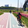 응봉역 무료 자전거 대여소 아이들과 한강 라이딩^^