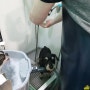 반려동물 분야 장애인 직무 능력 향상 과정 1기 - 3회차 수업 (강아지목욕)