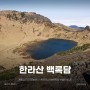 [제주 서귀포] 우리나라에서 가장 높은 <한라산 백록담> 성판악 코스 왕복 7시간 30분 정복!