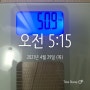 4/29 나의일상 운동,독서,식단