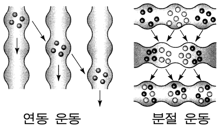 소화 (消化) : 네이버 블로그