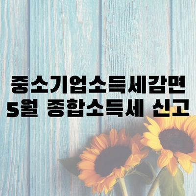 중소기업 청년 소득세감면 5월 종합소득세 신고로 신청방법