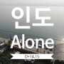 15. 인도여행 D+14,15 : 그런게 마음의 평화잖아