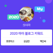 [2020 마이블로그 리포트] 한 눈에 보는 올해 내 블로그 데이터!