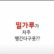 다이어트? 결국엔 체질개선을 해야한다!!