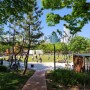 서울 목동 아이랑 가볼만한 곳 양천공원