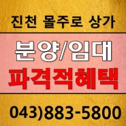 진천 상가임대/진천 몰주로 복합상가 분양/충북혁신도시부동산