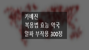 카베진 복용법 효능 약국 가격 직구 알파 부작용 300정 장기복용 : 네이버 블로그