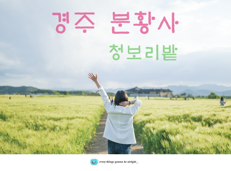 경주 분황사 청보리밭, 황룡사지 절터 드라이브 코스로 굿