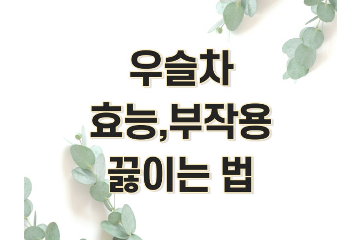우슬차 효능, 부작용, 끓이는법 정리 (우슬, 우슬뿌리 차, 우술, 쇠무릎) : 네이버 블로그