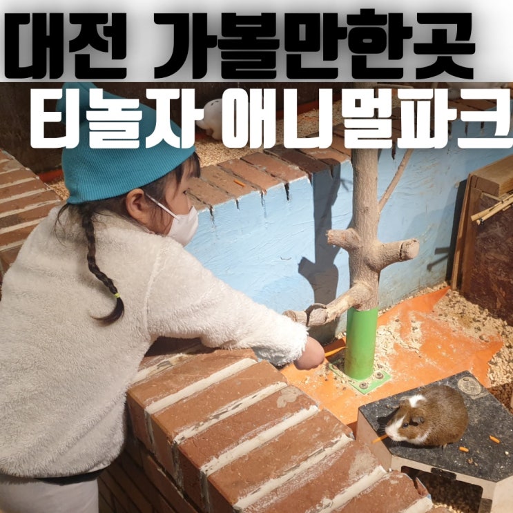 [대전 아이와 가볼 만한 곳] 대전 동물원, 대전 티놀자 애니멀 파크