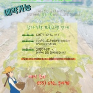 거제둔덕시골농촌체험센터 감자수확 체험 안내 :)