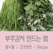 부추김치 레시피 - 건강한 봄나물 반찬들