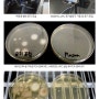 '코로나 살균’ 제로코퍼레이션 'HADES5-UVC’ 차량 내 세균 배양 테스트 결과 공개