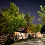 [캠핑]경남 사천 비토섬 캠핑장 가족캠핑 추천자리(자라 사이트)