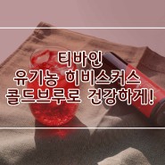 [TIVINE 제품소개] 유기농 히비스커스 콜드브루로 맛있고 건강하기 즐기기!