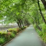 서울 산책하기 좋은 길, 강남고속터미널 센트럴시티 옆 피천득 산책로
