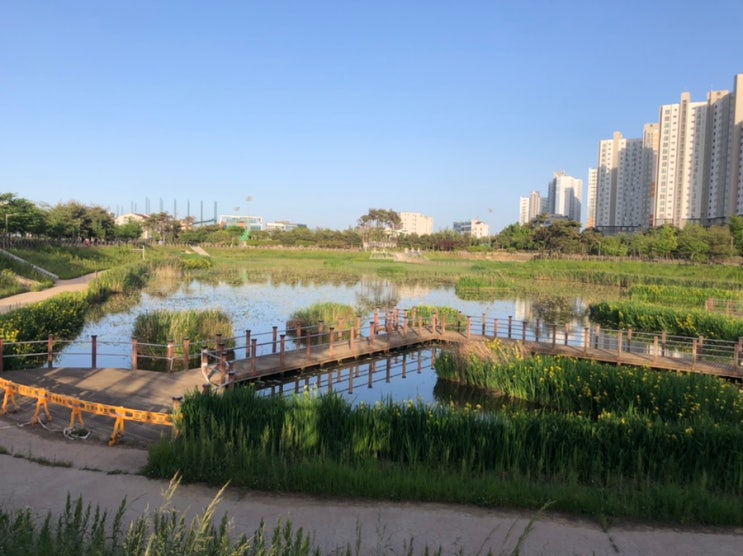 전주 산책하기 좋은 공원, 혁신도시 지사울공원