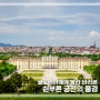 글로리아떼에서 바라본 오스트리아 비엔나 쉰부른 궁전