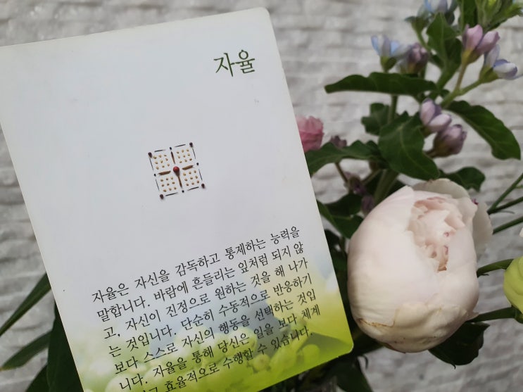자유? 자율? - 4주차 주간미덕 [자율] : 네이버 블로그