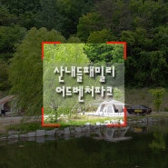 [경북 김천 캠핑장 ] 산내들 패밀리 어드벤처 파크 다녀 왓어요