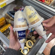 빙그레 엑설런트콘 아이스크림 니돈내산 후기