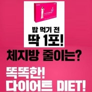 건강 다이어트 : 단기 & 2주 다이어트, 뱃살 홀쭉이?? 무료 상담