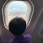 아들과 떠나는 엄마의 여행: 아들은 비행중